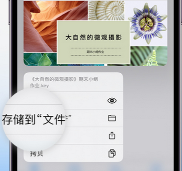 寿宁apple维修中心分享iPhone文件应用中存储和找到下载文件