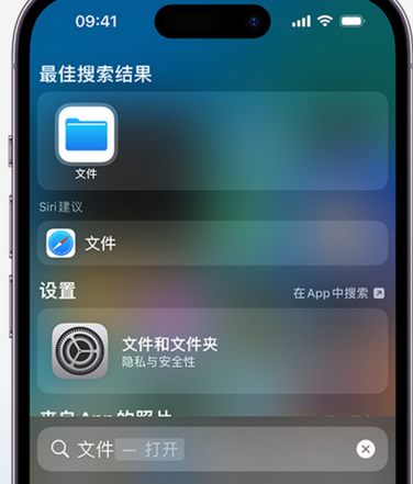 寿宁apple维修中心分享iPhone文件应用中存储和找到下载文件