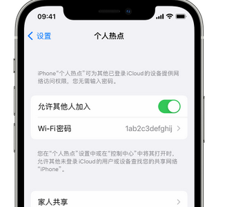 寿宁apple服务站点分享iPhone上个人热点丢失了怎么办 