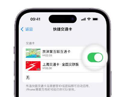 寿宁apple维修点分享iPhone上更换Apple Pay快捷交通卡手绘卡面 