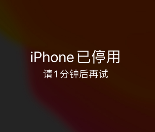 寿宁苹果手机维修分享:iPhone 显示“不可用”或“已停用”怎么办？还能保留数据吗？ 