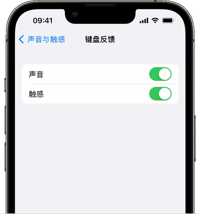 寿宁苹果14维修店分享如何在 iPhone 14 机型中使用触感键盘 