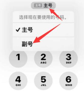 寿宁苹果14维修店分享iPhone 14 Pro Max使用副卡打电话的方法 