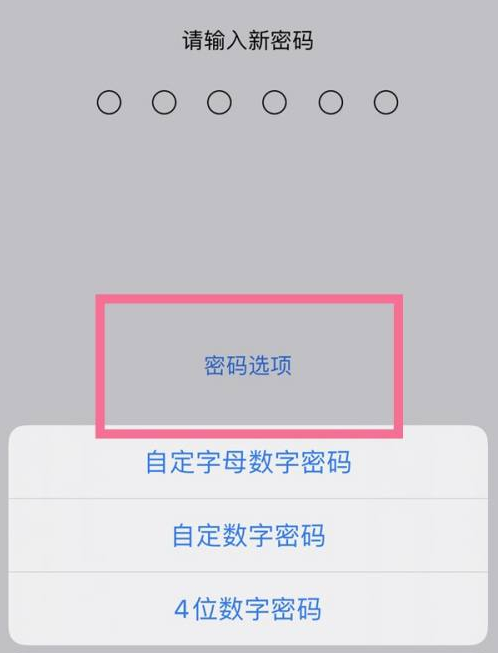 寿宁苹果14维修分享iPhone 14plus设置密码的方法 