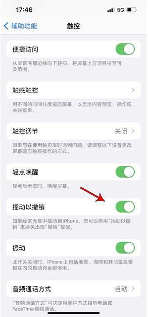 寿宁苹果手机维修分享iPhone手机如何设置摇一摇删除文字 